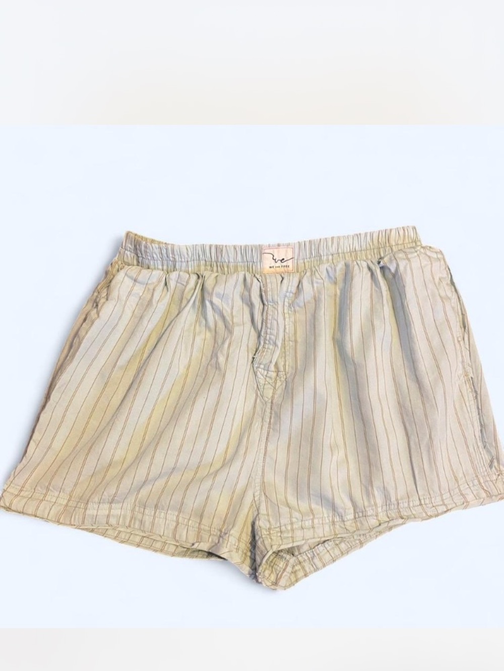 We The Free Light Blue Pinstripe Athletic Shorts